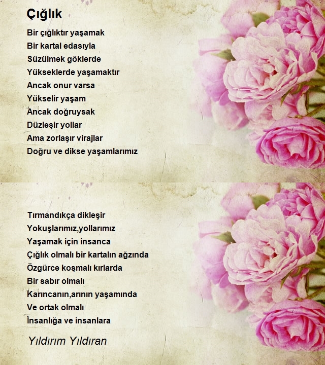 Yıldırım Yıldıran