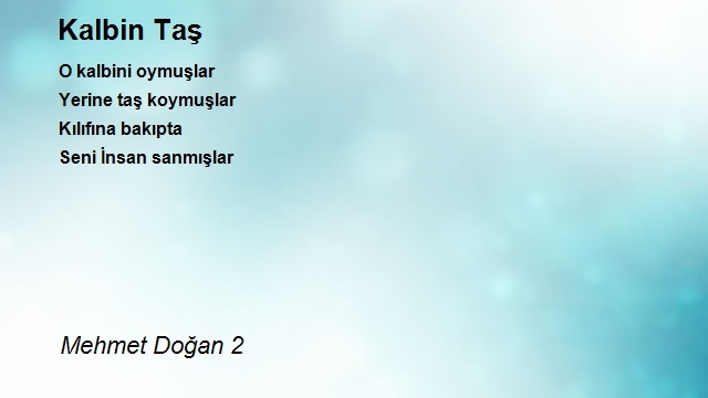 Mehmet Doğan 2