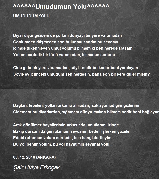 Şair Hülya Erkoçak