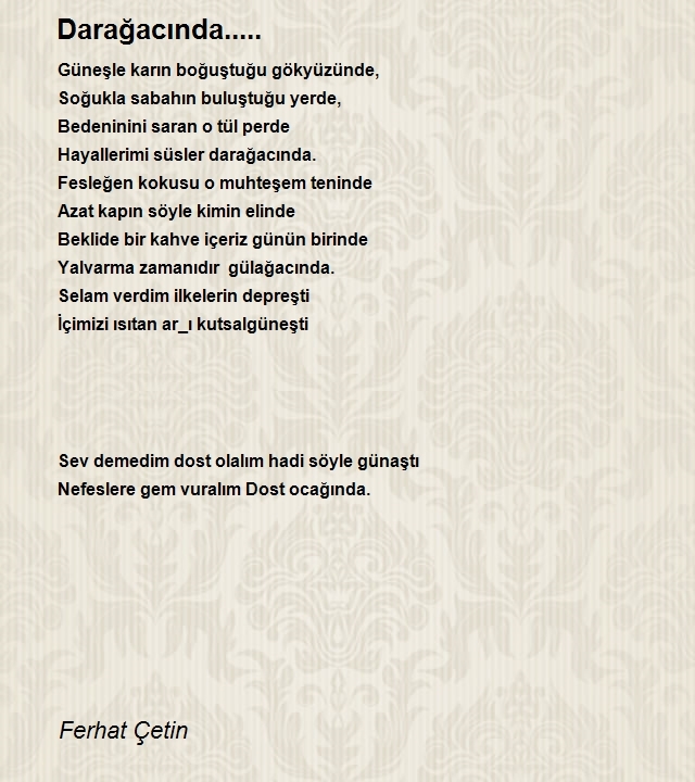 Ferhat Çetin