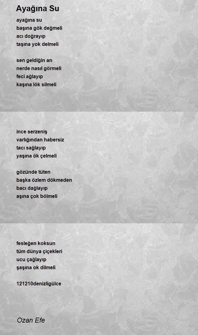 Ozan Efe