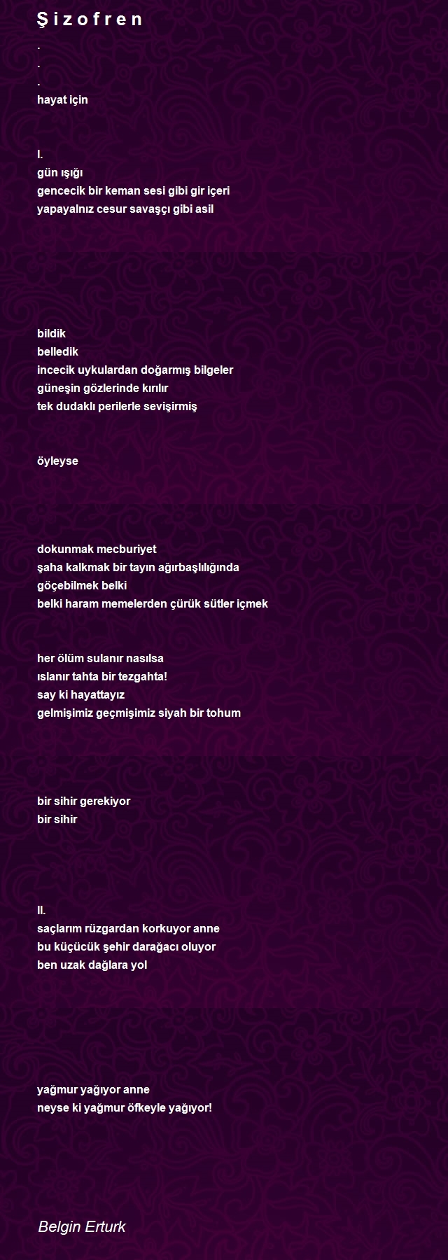 Belgin Erturk