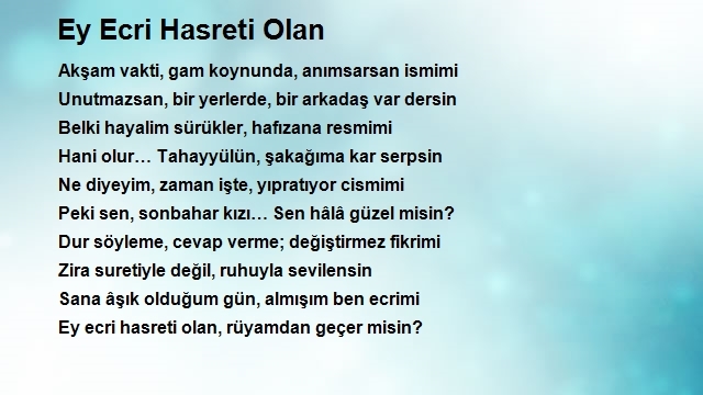 Ahmet Levent Ay