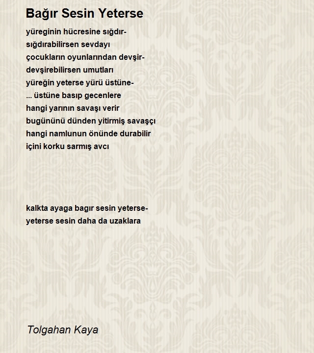 Tolgahan Kaya
