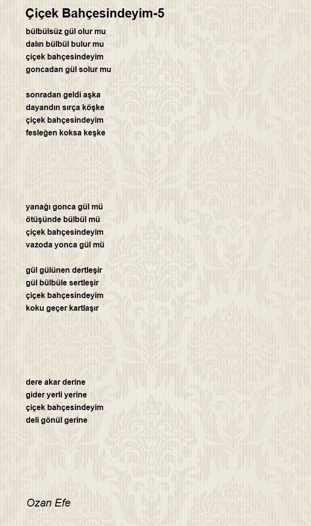 Ozan Efe