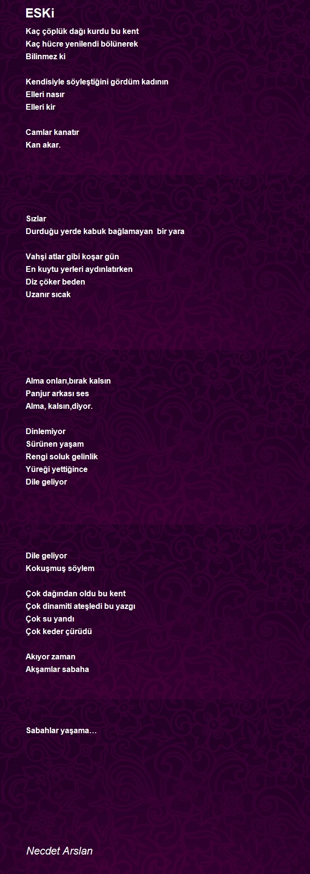 Necdet Arslan