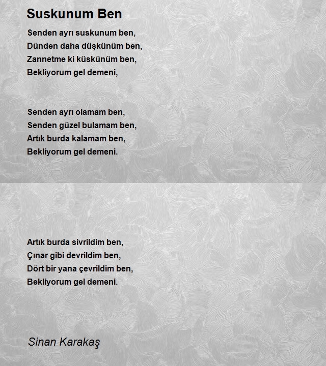 Sinan Karakaş