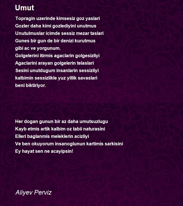 Aliyev Perviz