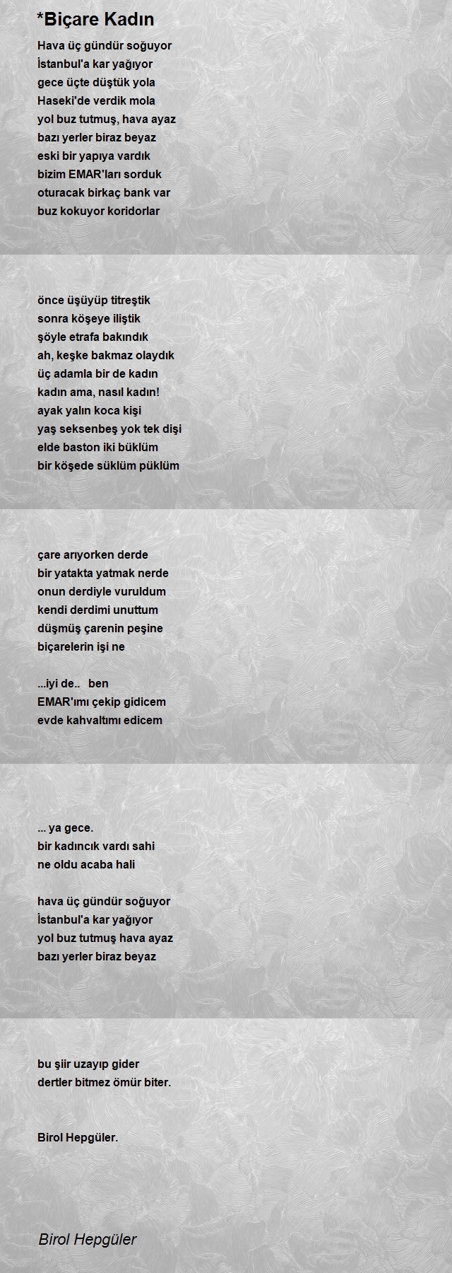 Birol Hepgüler