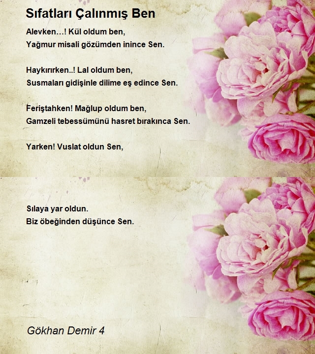 Gökhan Demir 4