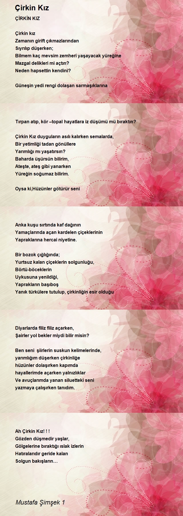 Mustafa Şimşek 1