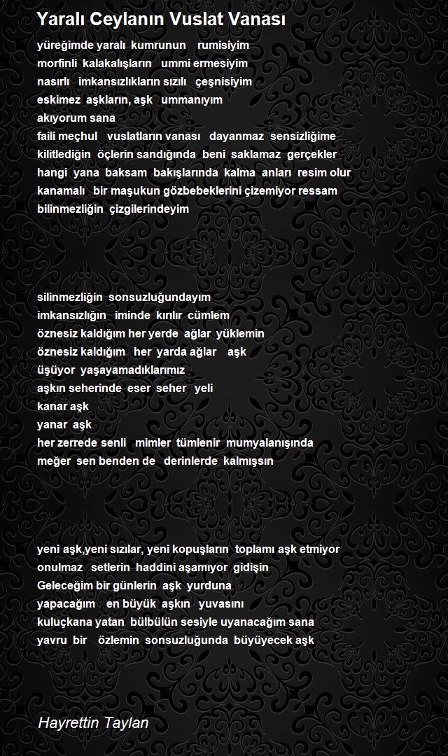 Hayrettin Taylan