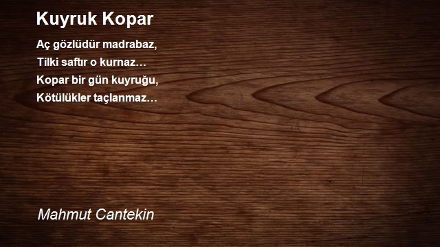 Mahmut Cantekin