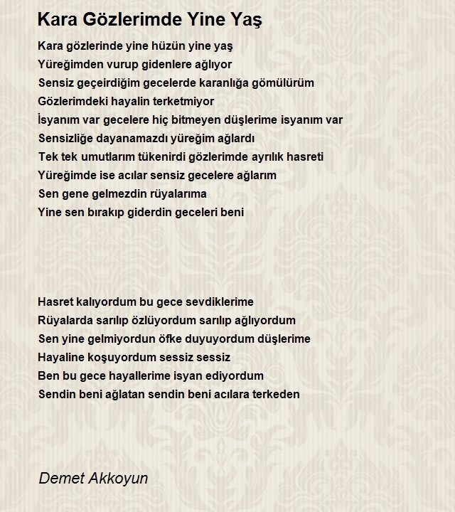 Demet Akkoyun
