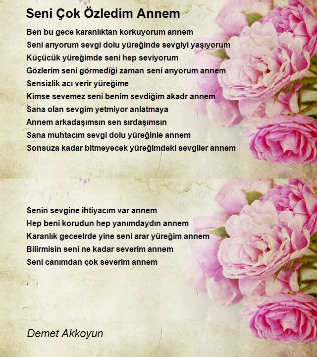 Demet Akkoyun