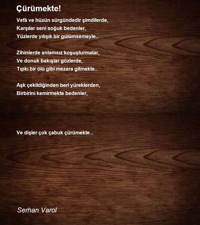 Serhan Varol