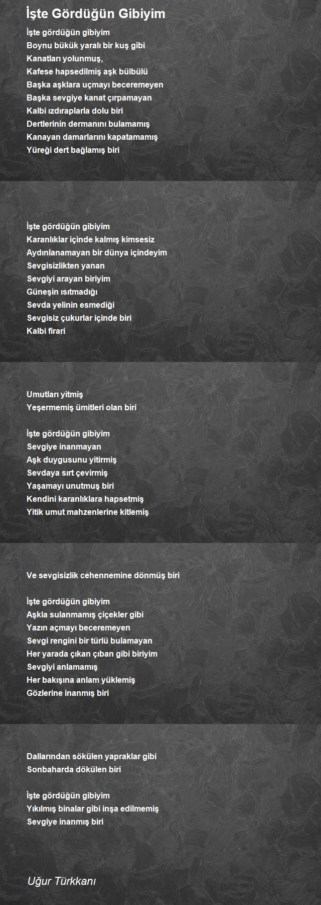 Uğur Türkkanı