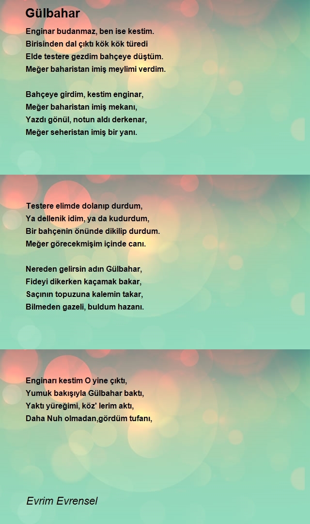 Evrim Evrensel