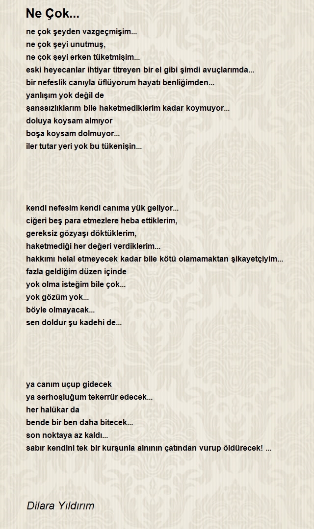 Dilara Yıldırım