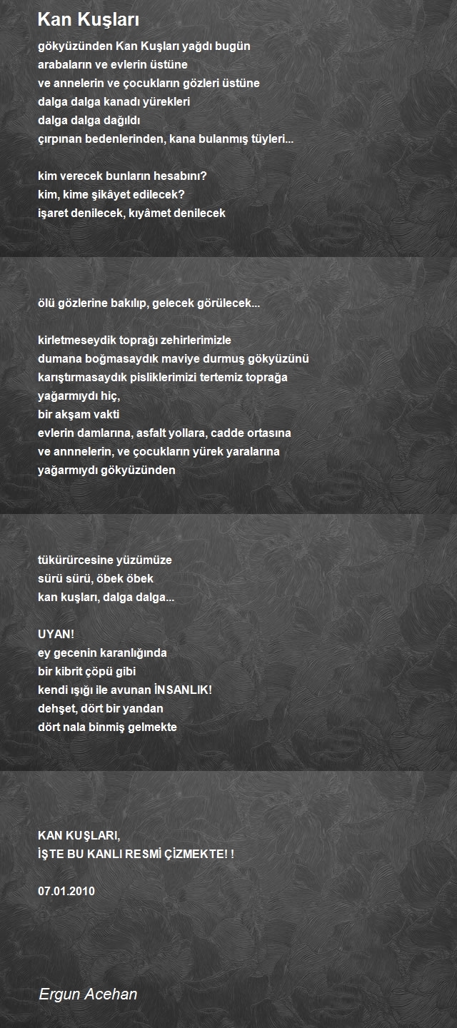 Ergun Acehan