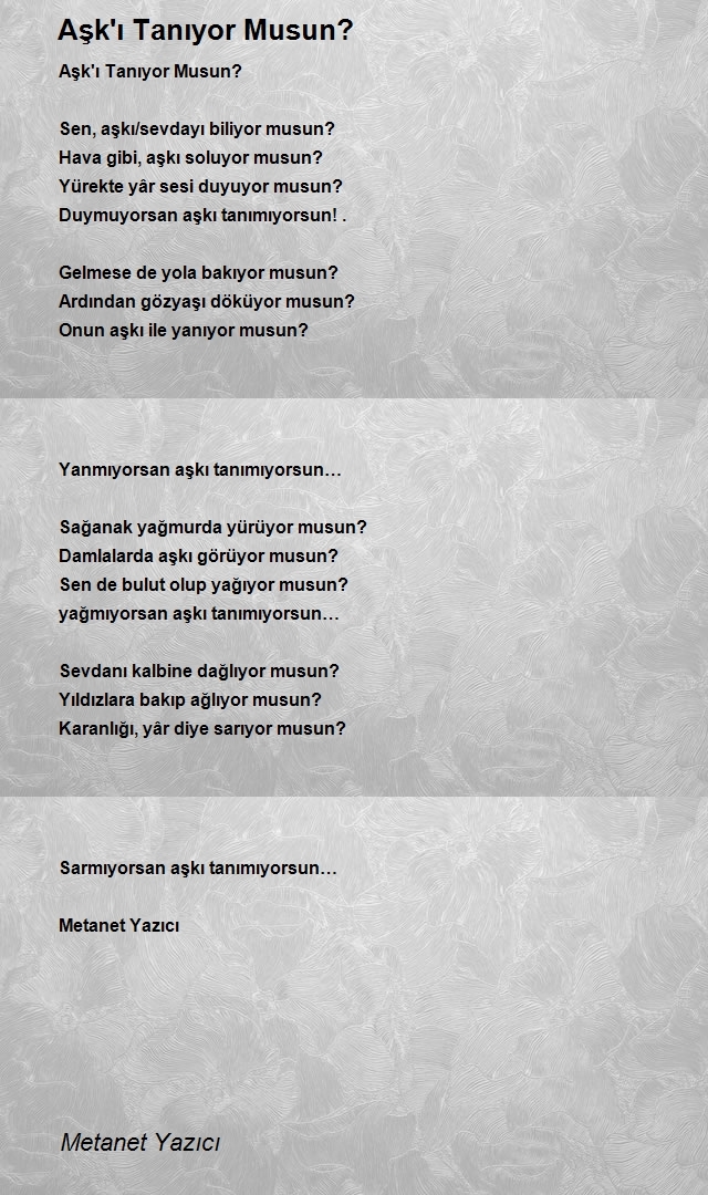 Metanet Yazıcı