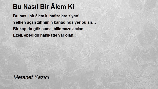 Metanet Yazıcı