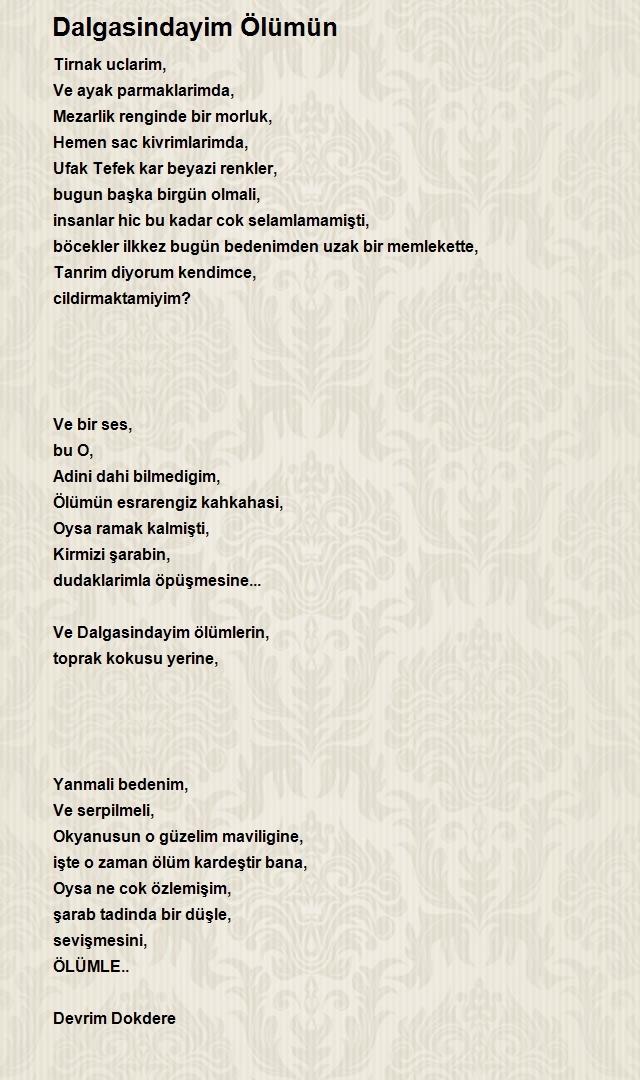 Devrim Dokdere
