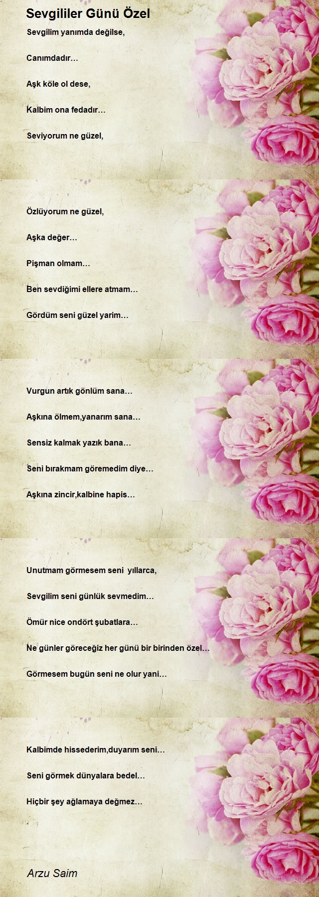 Arzu Saim