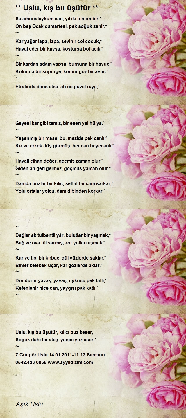 Güngör Uslu