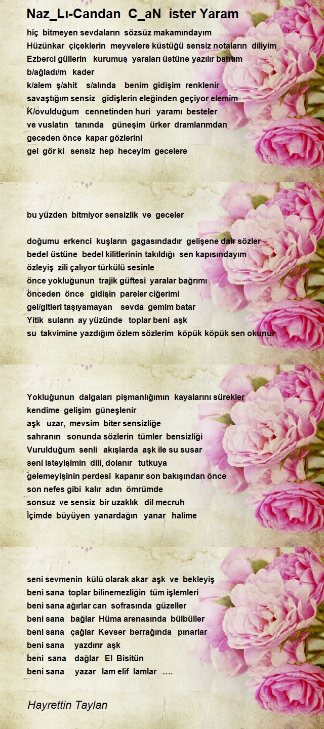 Hayrettin Taylan