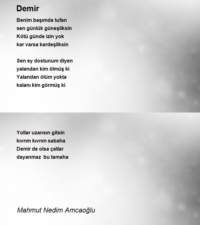 Mahmut Nedim Amcaoğlu