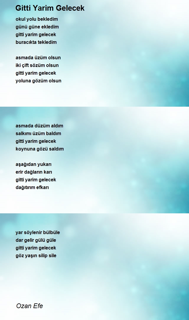 Ozan Efe