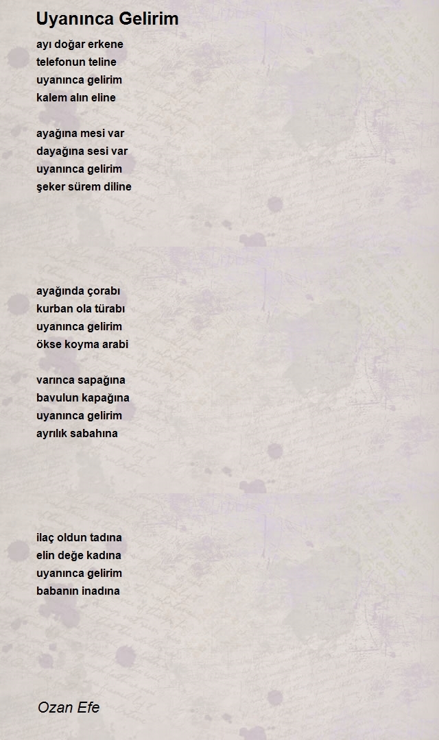 Ozan Efe