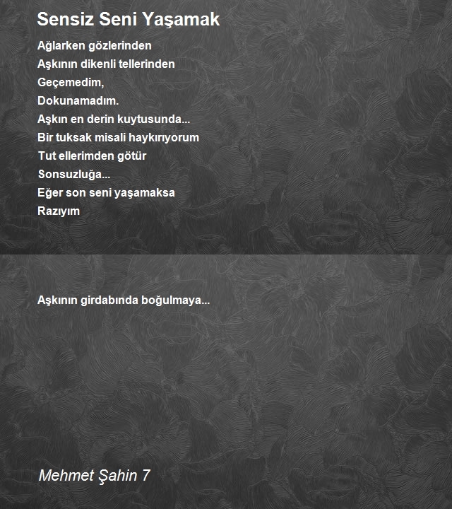 Mehmet Şahin 7