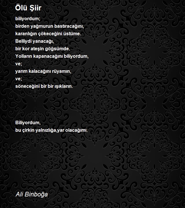Ali Binboğa