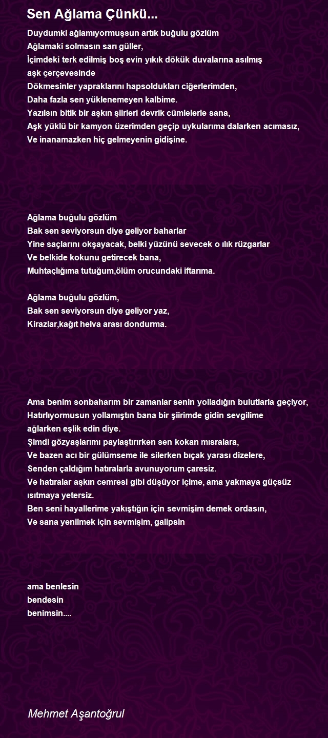Mehmet Aşantoğrul