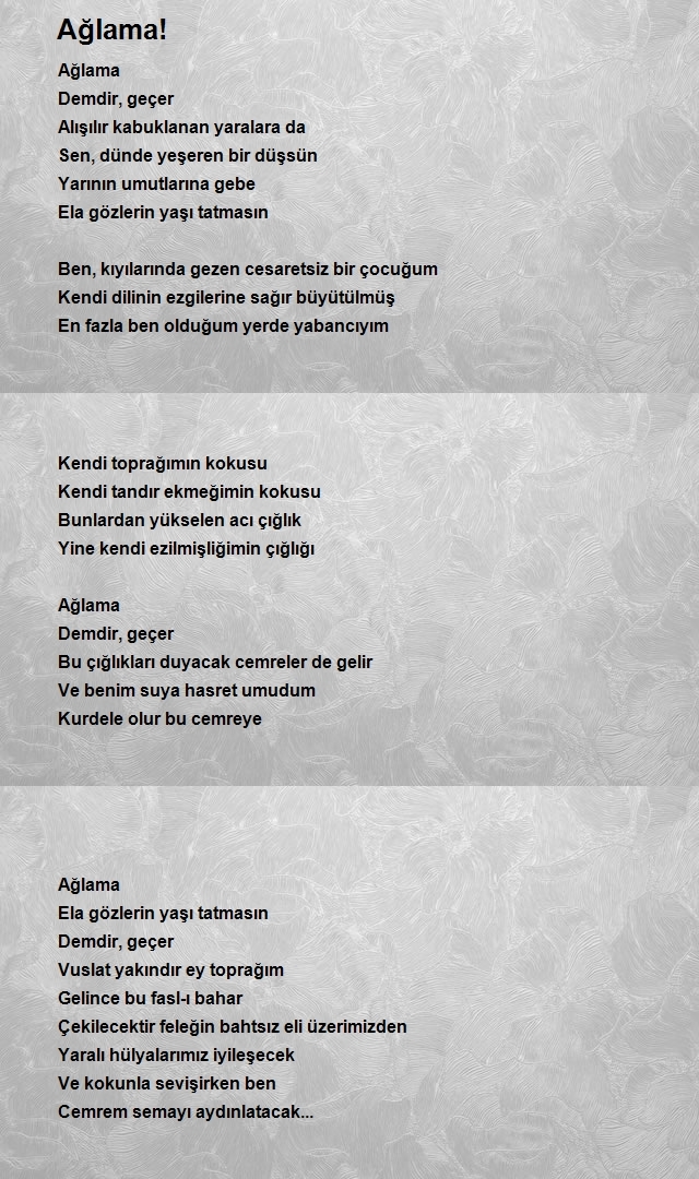 Ahmet Yıldırım 2