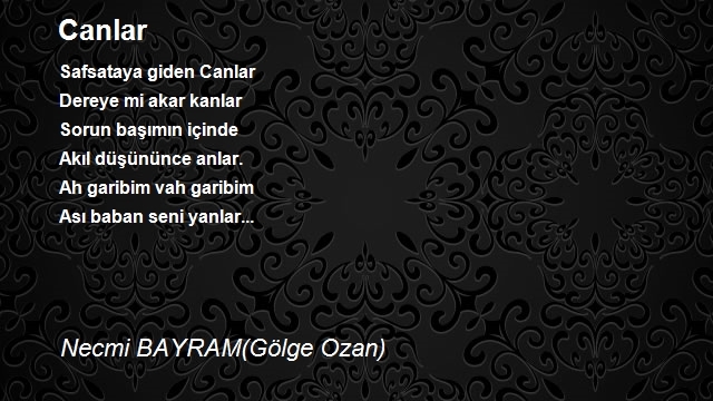 Necmi Bayram