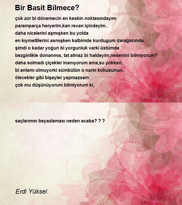 Erdi Yüksel