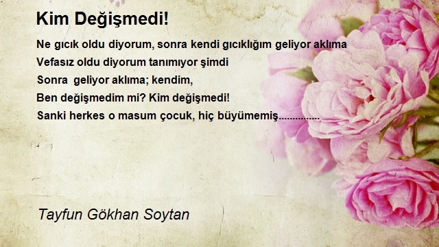 Tayfun Gökhan Soytan