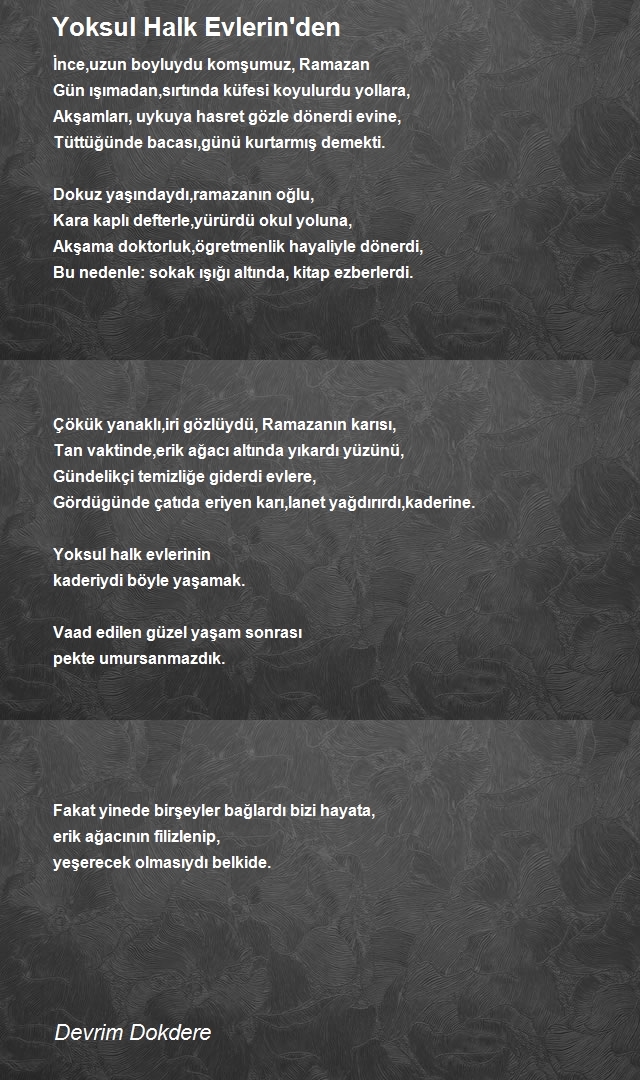 Devrim Dokdere