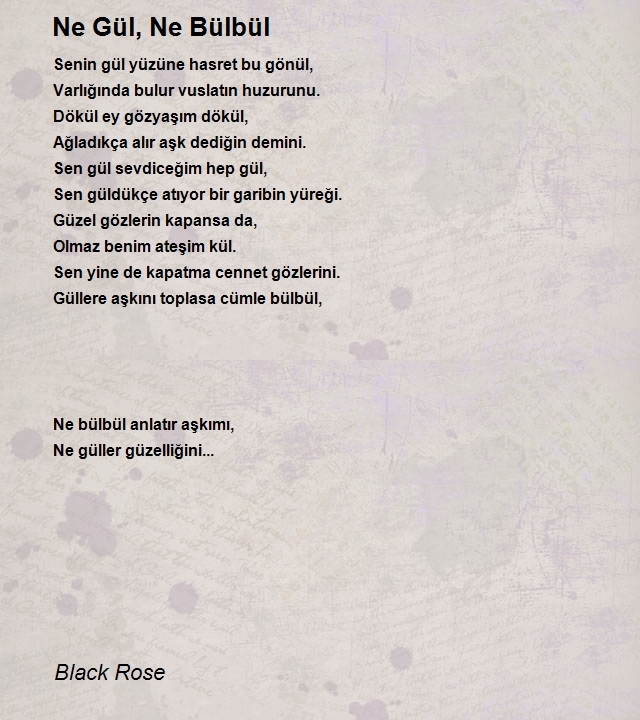 Black Rose