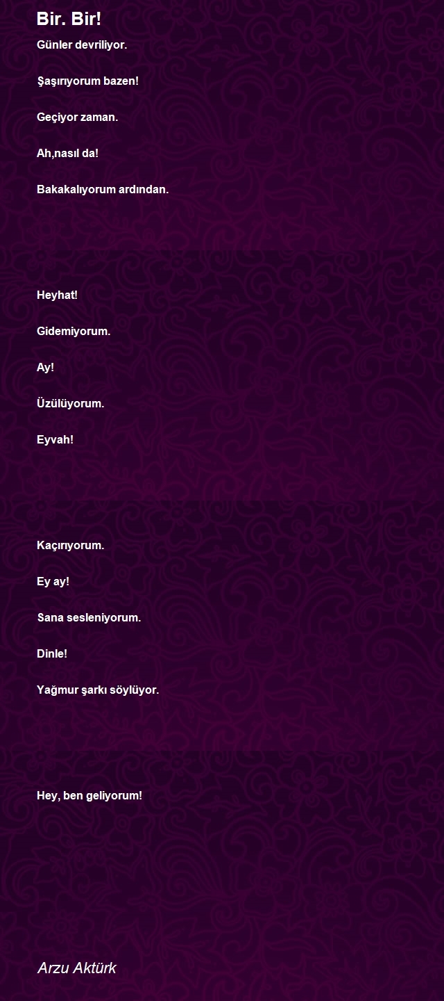 Elif Ege