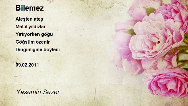 Yasemin Sezer