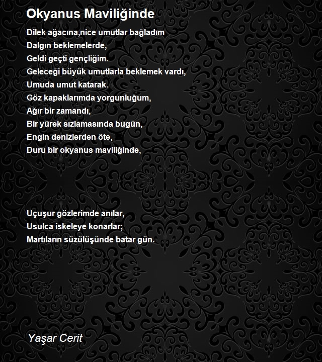 Yaşar Cerit