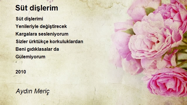 Aydın Meriç
