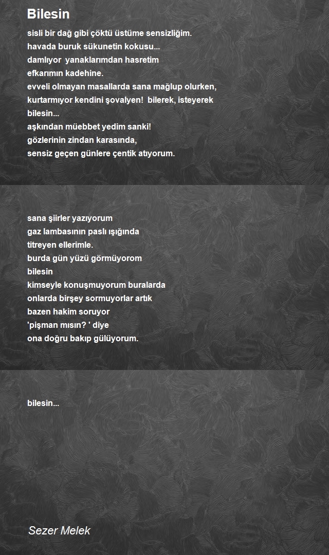 Sezer Melek