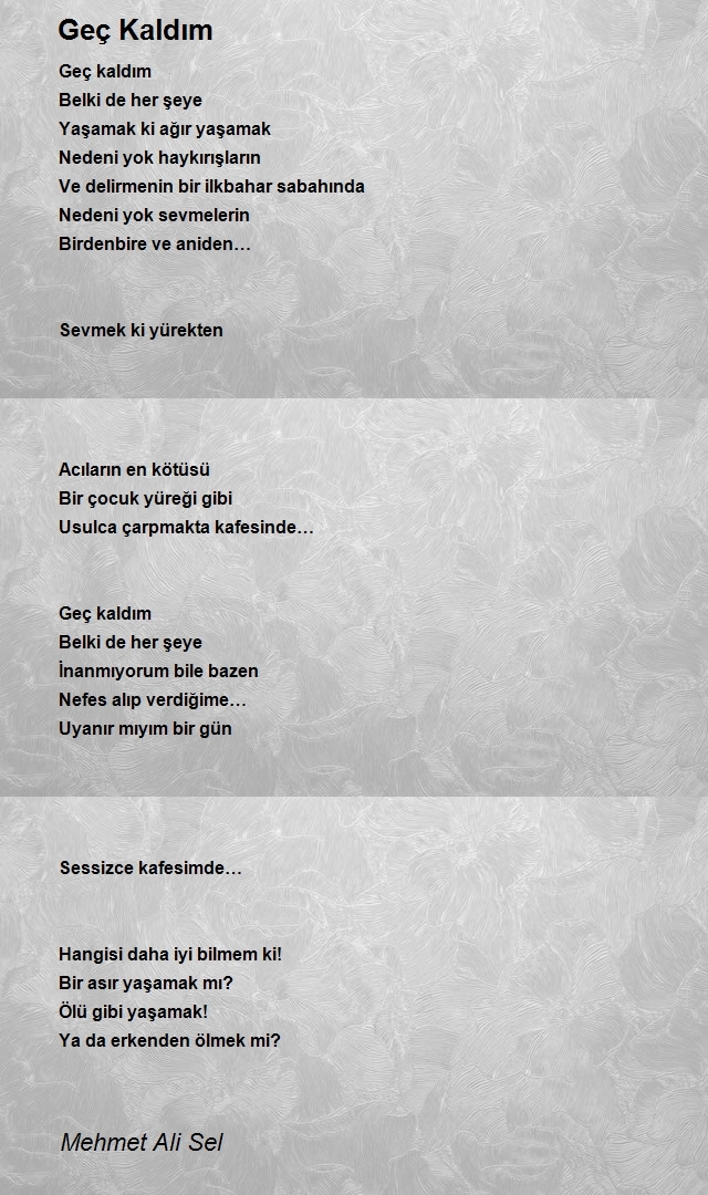 Mehmet Ali Sel