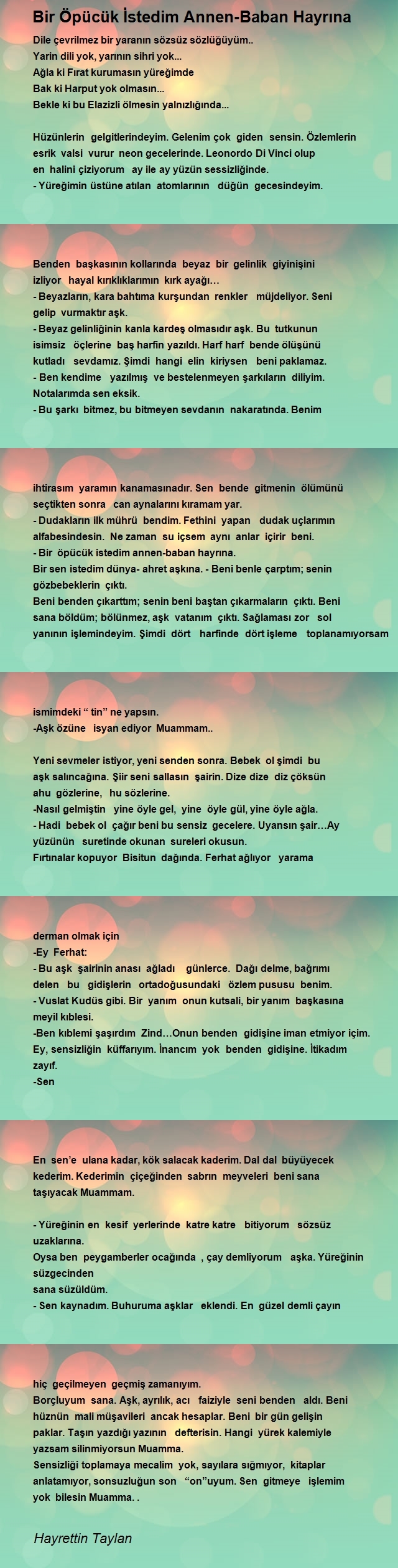 Hayrettin Taylan
