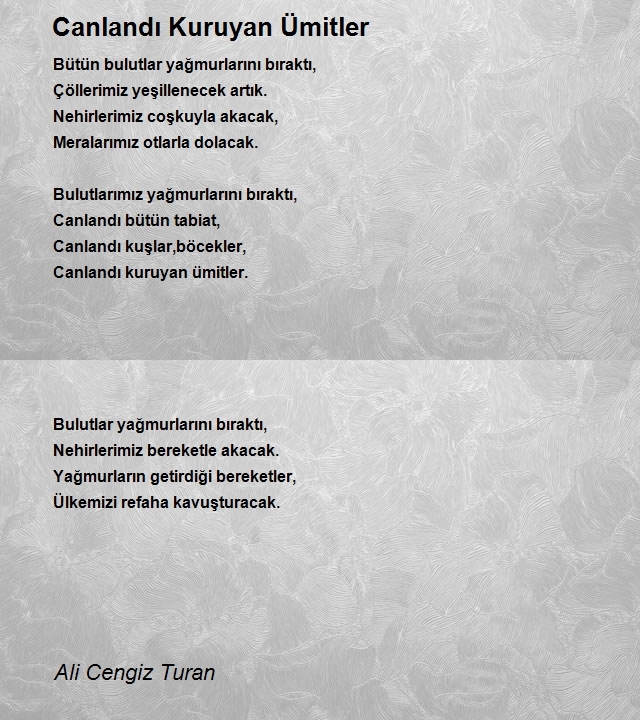 Ali Cengiz Turan
